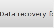 Data recovery for Sparks Data data