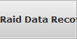 Raid Data Recovery Sparks Data raid array